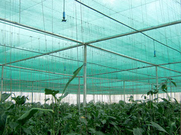 HDPE Sun Anti Uv tarım sera bitkileri korumak için Net Shade