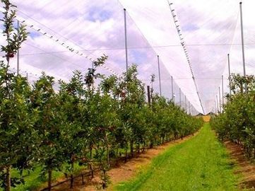 HDPE Raschel Anti dolu ağlar mamulleri / dolu koruma meyve ağacı için Net