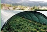 Koyu yeşil, siyah Sun Shade kumaşı, Hdpe Anti UV tarım Net