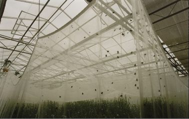 Plastik Bahçe tarım böcek kumaşı, bitki böcek Net Anti Anti