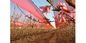 Tarım Çiftlikleri için Özel Farm Red HDPE Raşel Tarım Gölge Net